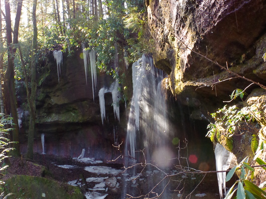 Turtle Back Falls