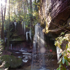 Turtle Back Falls