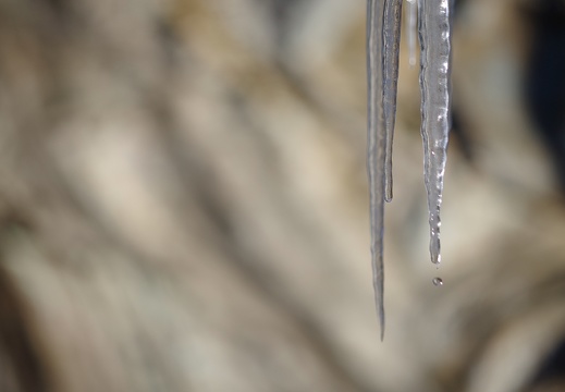 Trail and Ice