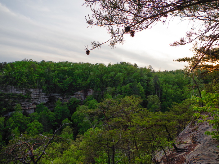 Overlook