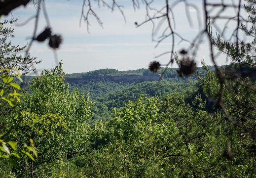 Burn scar on distant ridge recovers