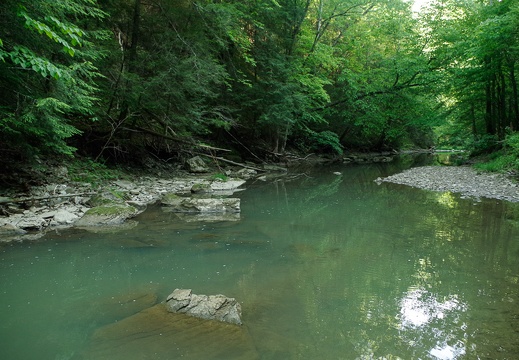 Downstream, Glady Creek