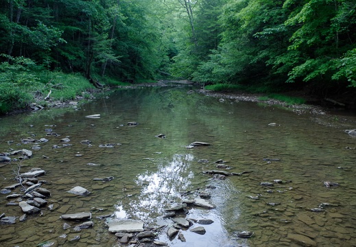 Upstream, Glady Creek