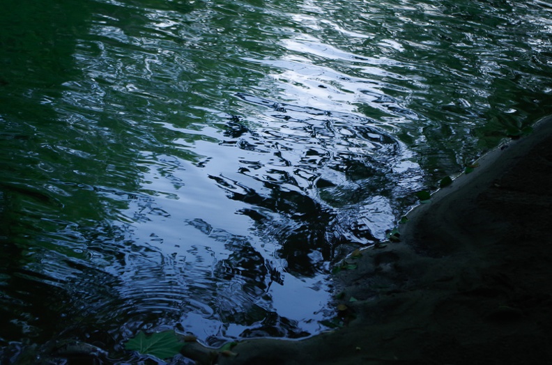 _IMG1867.jpg