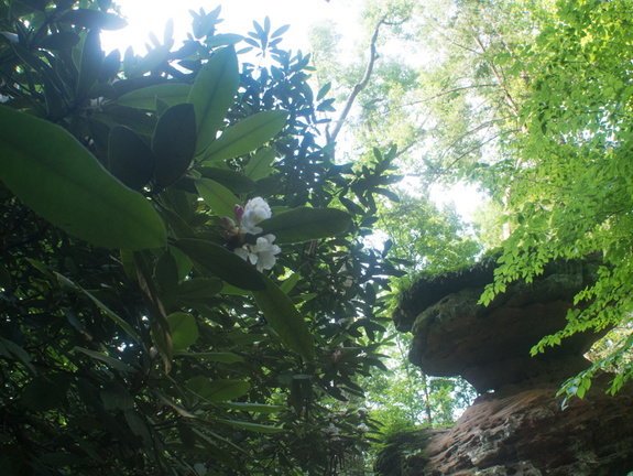 Balanced Rock