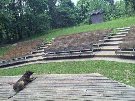 Amphitheater