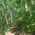 Twin Knobs Summit Trail