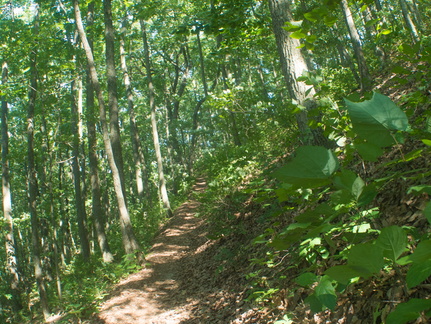 Twin Knobs Summit Trail