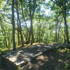 Twin Knobs Summit Trail