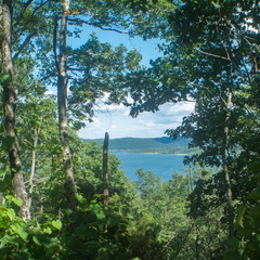 Twin Knobs Summit View