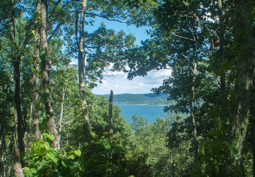 Twin Knobs Summit View