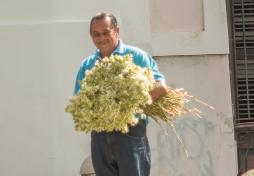 My Flower Salesman