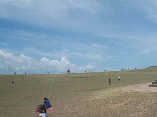 Kite on the great lawn of El Morro