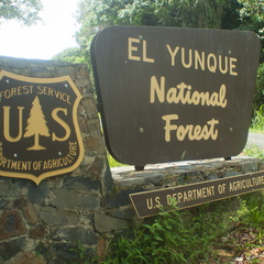 El Yunque National Forest