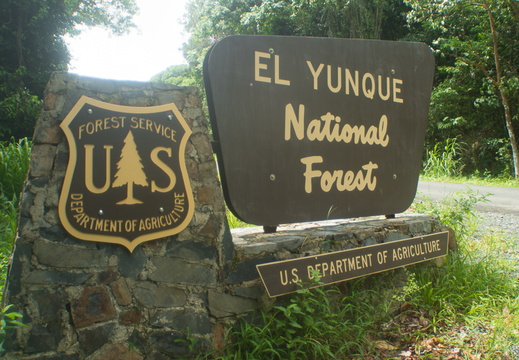 El Yunque National Forest