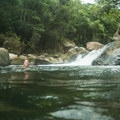 El Yunque National Forest