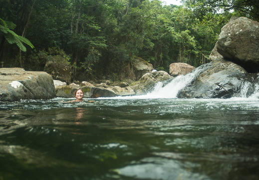 El Yunque National Forest