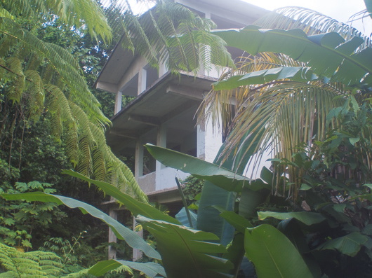 Fruits of the rain forest and the Old Machete Trail