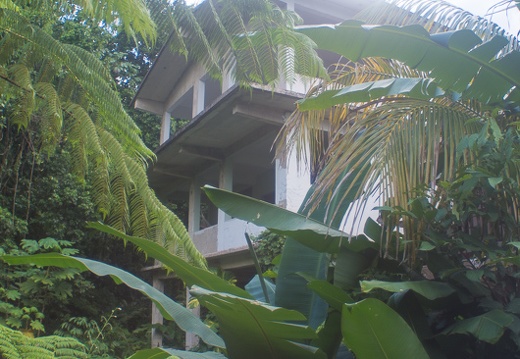 Fruits of the rain forest and the Old Machete Trail