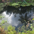 Fruits of the rain forest and the Old Machete Trail