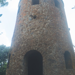 Mt. Britton, El Yunque National Forest