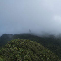 Mt. Britton, El Yunque National Forest