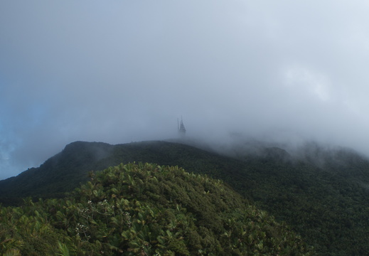 Mt. Britton, El Yunque National Forest