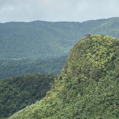 Torre de Los Picachos, El Yunque National Forest