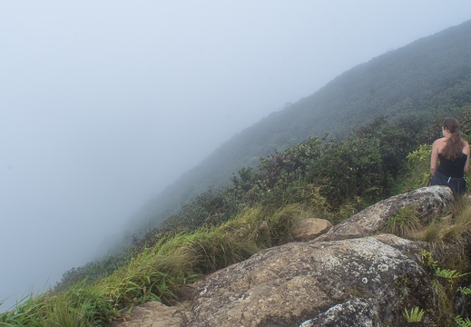 El Yunque National Forest