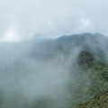 Torre del Yunque, El Yunque National Forest