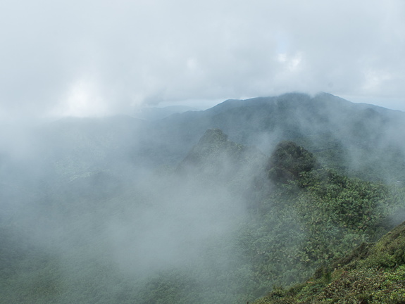 Torre del Yunque, El Yunque National Forest