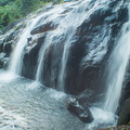 Fruits of the rain forest and the Old Machete Trail