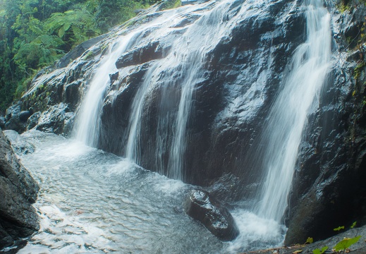 Fruits of the rain forest and the Old Machete Trail