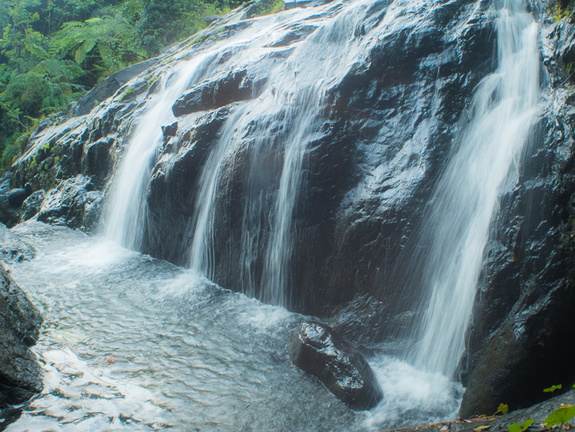 Fruits of the rain forest and the Old Machete Trail