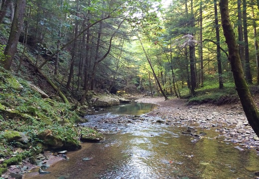 War Fork below Resurgence Cave