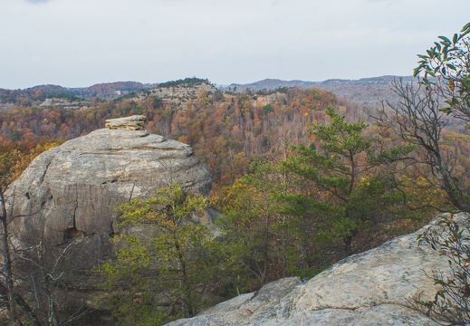 Autumn in the Daniel Boone