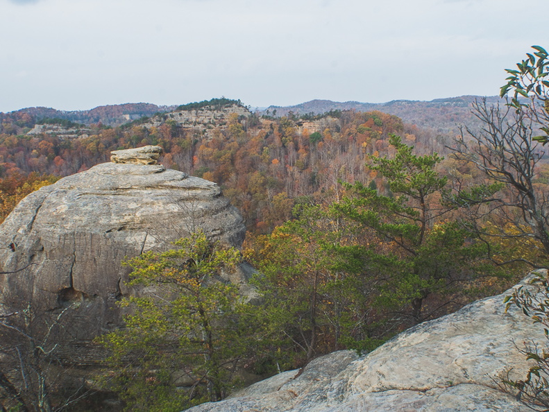 Autumn in the Daniel Boone