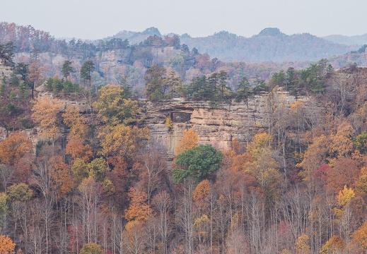 Autumn in the Daniel Boone