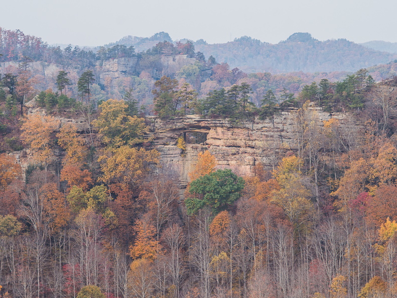 Autumn in the Daniel Boone