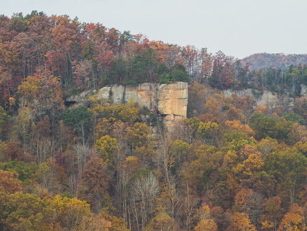 Autumn in the Daniel Boone