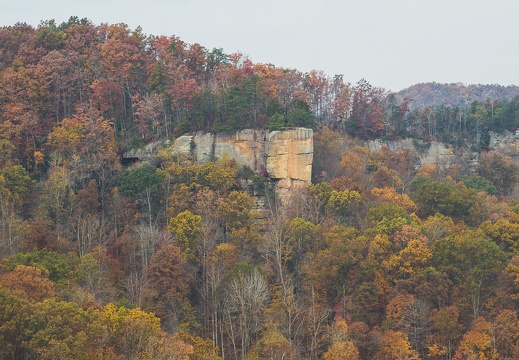 Autumn in the Daniel Boone