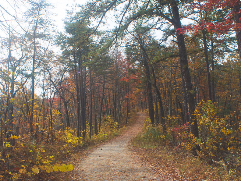 Autumn in the Daniel Boone