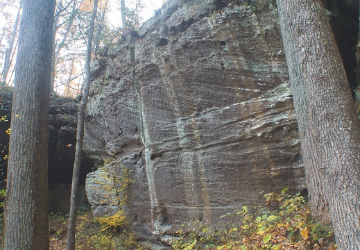 Autumn in the Daniel Boone