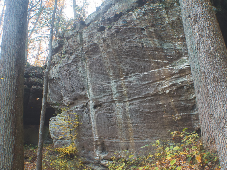 Autumn in the Daniel Boone