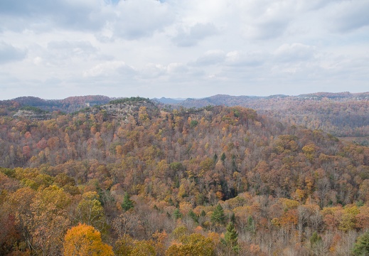 Autumn in the Daniel Boone