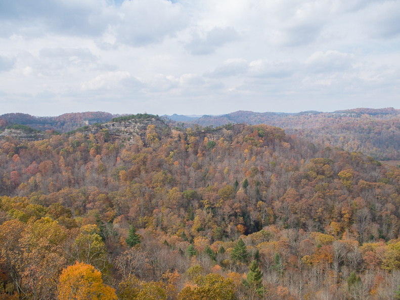 Autumn in the Daniel Boone