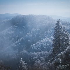 Newfound Gap