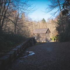 Mingus Mill