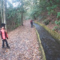 Mingus Mill