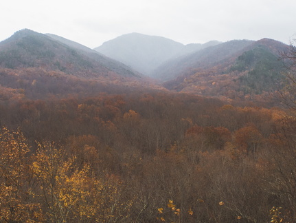 Smokies